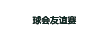 球会友谊赛
